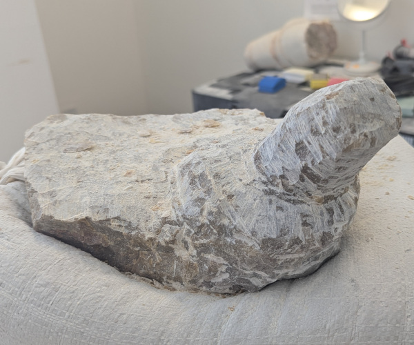 a sculpture made from alabaster featuring an erect penis